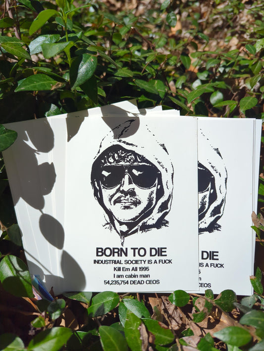 cabin man cracks password hashes stickers