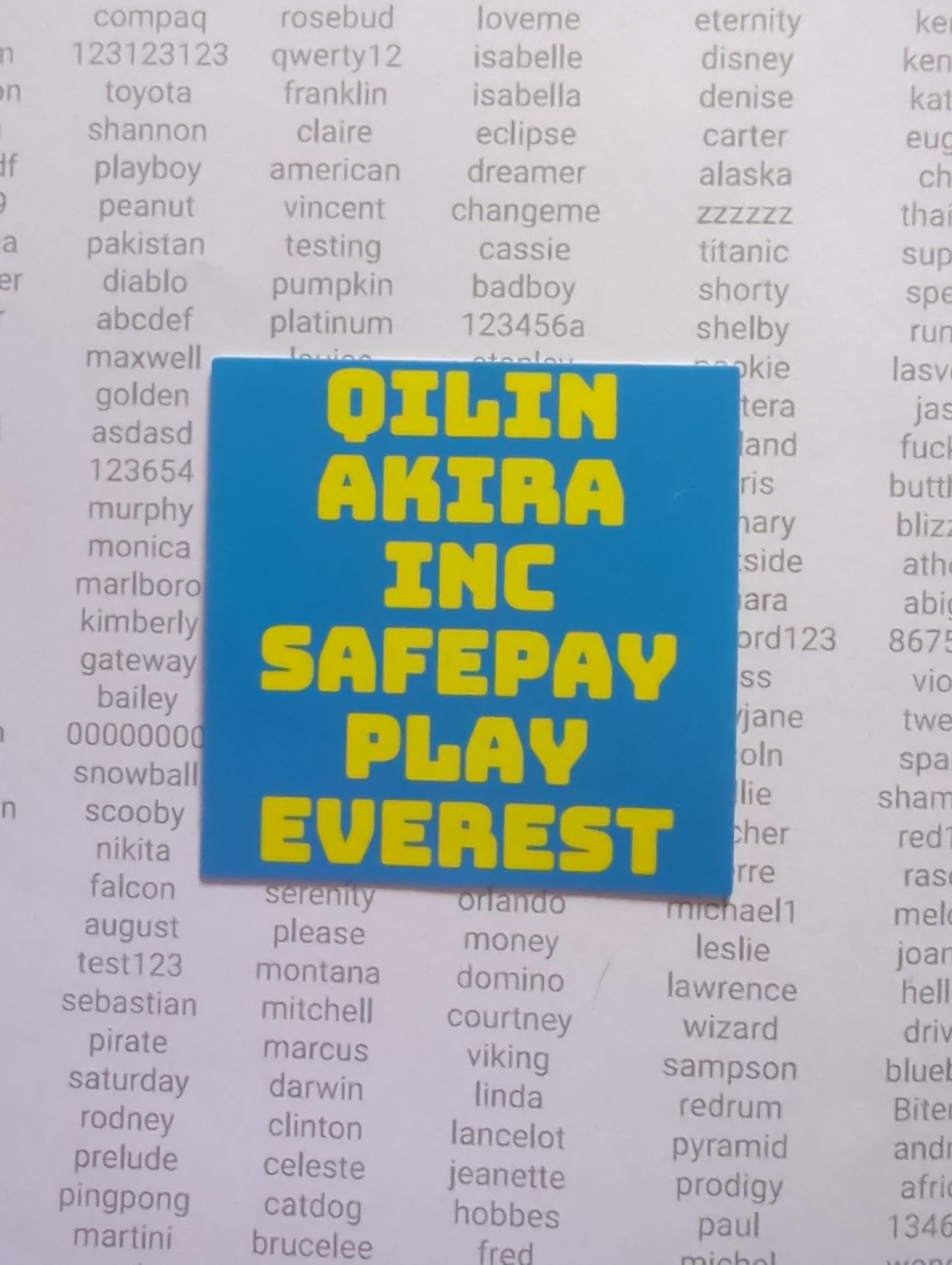 Ransomware Group Stickers